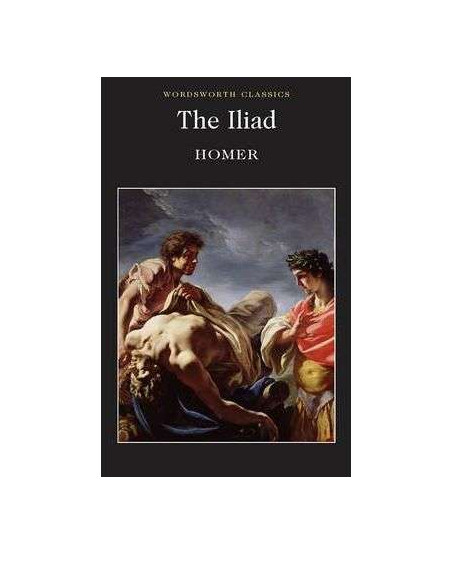 The Iliad 