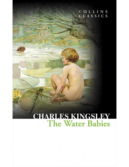 The Water Babies  The Water Babies