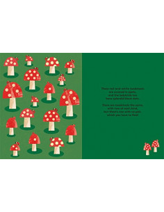 One is Not a Pair : A Spotting Book 2