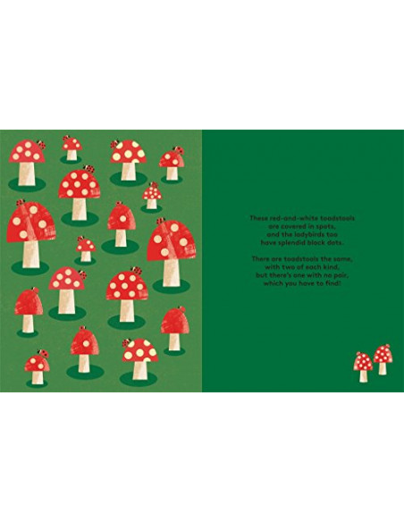 One is Not a Pair : A Spotting Book