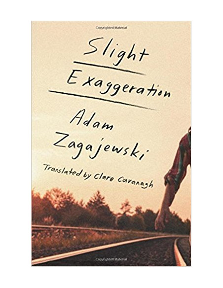 Slight Exaggeration : An Essay Slight Exaggeration : An Essay