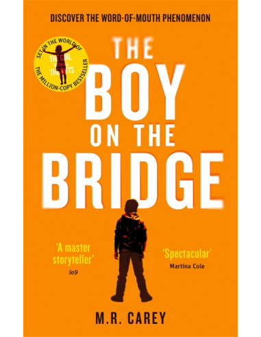 The Boy on the Bridge