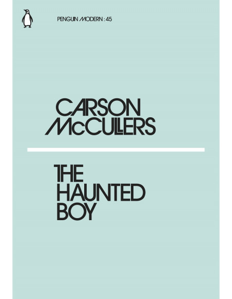 The Haunted Boy The Haunted Boy