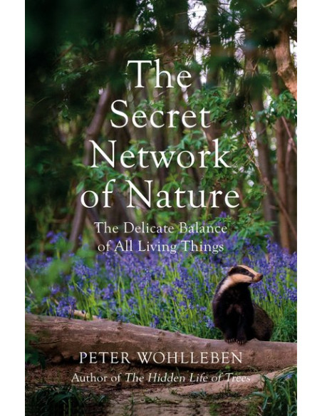 The Secret Network of Nature