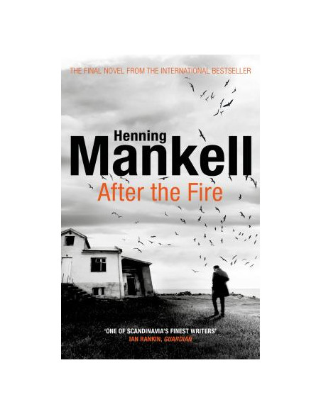 After the Fire After the Fire