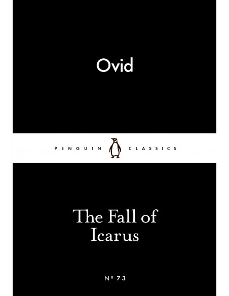 The Fall of Icarus  The Fall of Icarus