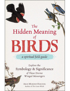 The Hidden Meaning of Birds
