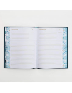 Dreamer's Journal : An Illustrated Guide to the Subconscious 2