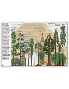 The Book of Trees 2
