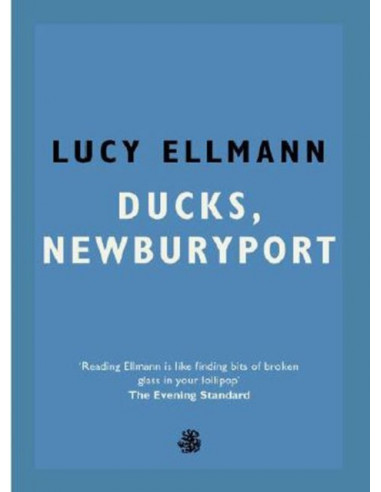 Ducks, Newburyport