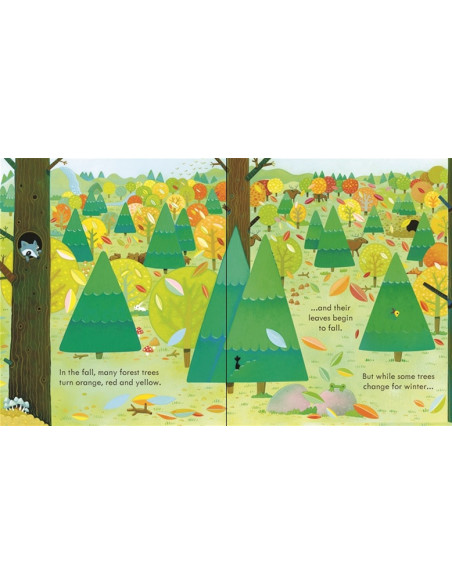 Peep Inside a Forest