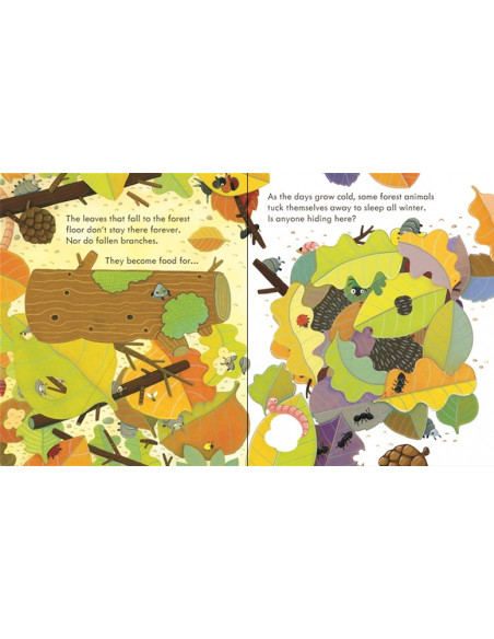 Peep Inside a Forest