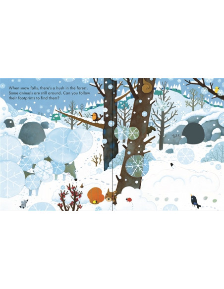 Peep Inside a Forest