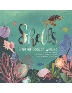 Shells : A Pop-up Book of Wonder