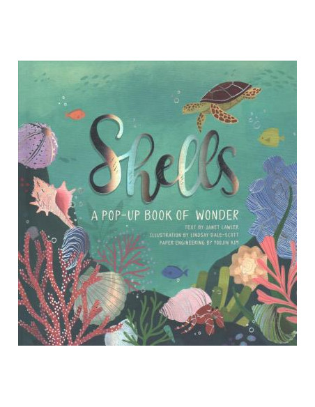 Shells : A Pop-up Book of Wonder