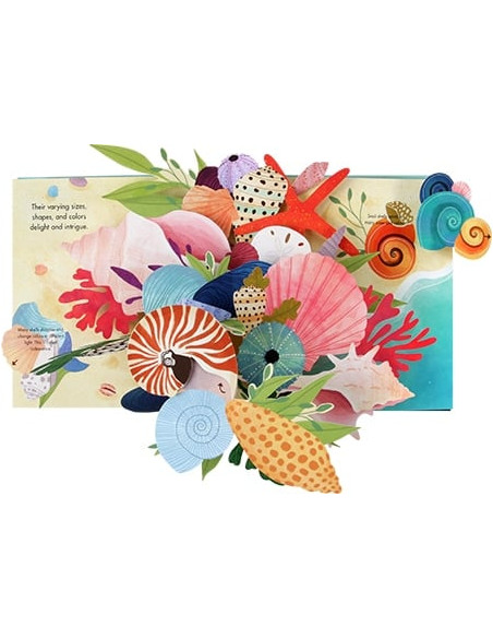 Shells : A Pop-up Book of Wonder