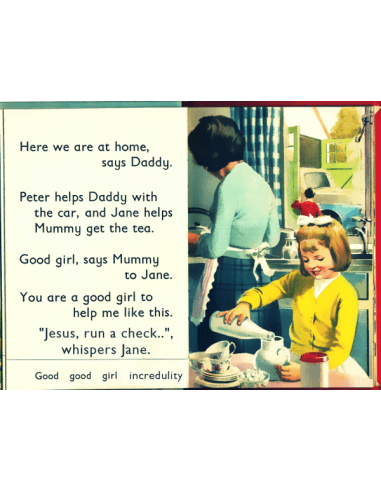 A Ladybird Book About Donald Trump