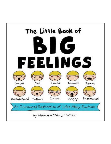 The Little Book of Big Feelings