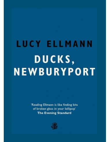 Ducks, Newburyport