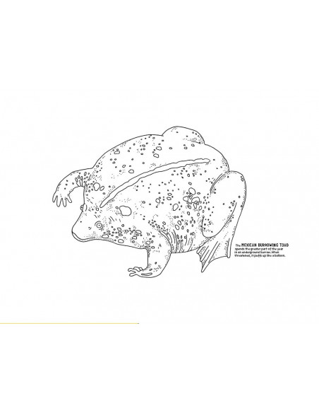 Under Earth Activity Book