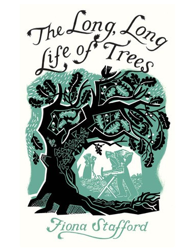 The Long, Long Life of Trees