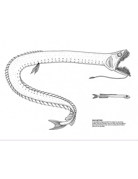 Under Water Activity Book