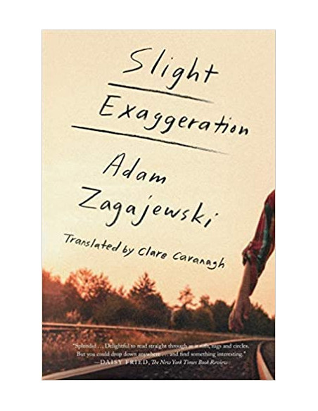 Slight Exaggeration : An Essay