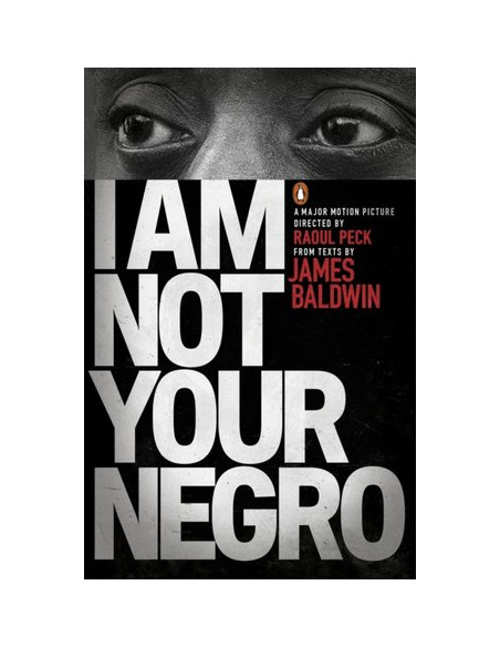 I Am Not Your Negro