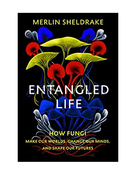 Entangled Life : How Fungi Make Our Worlds, Change Our Minds and Shape Our Futures