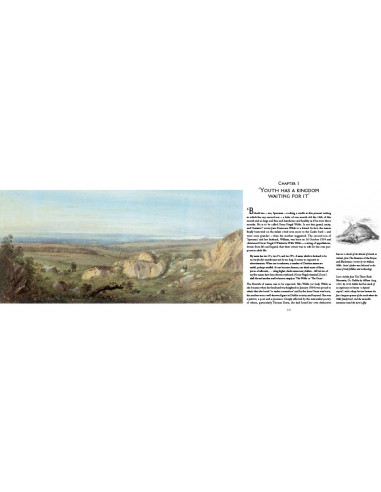 The Illustrated letters of Oscar Wilde : A Life...