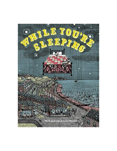 While You're Sleeping