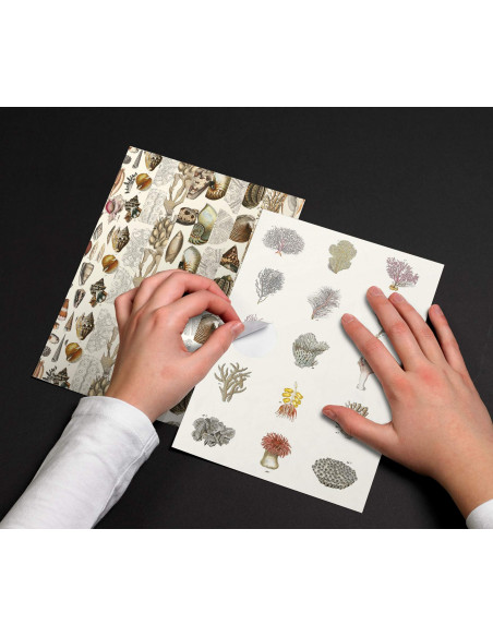 Label & Sticker Book : Marine