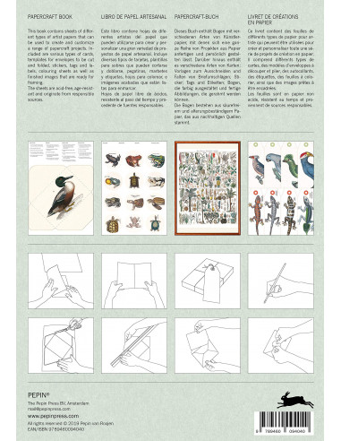 Papercraft Book : Natural History
