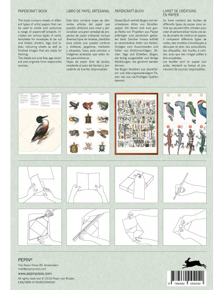 Papercraft Book : Natural History