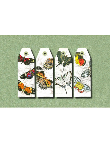 Papercraft Book : Natural History