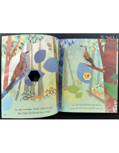 Bee : Nature's tiny miracle