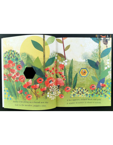 Bee : Nature's tiny miracle