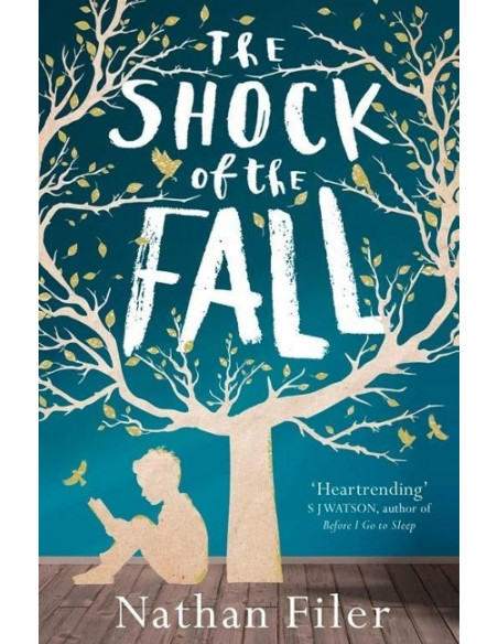 The Shock of the Fall