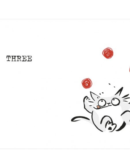 Counting with Tiny Cat