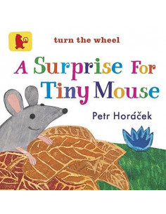 A Surprise for Tiny Mouse