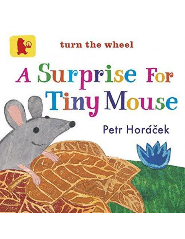 A Surprise for Tiny Mouse