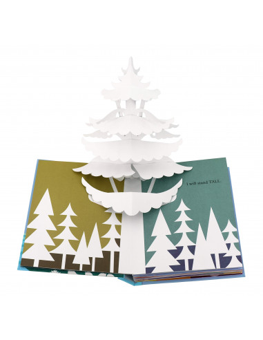 Believe : A Pop-up Book to Inspire You
