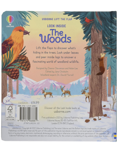 Look Inside the Woods