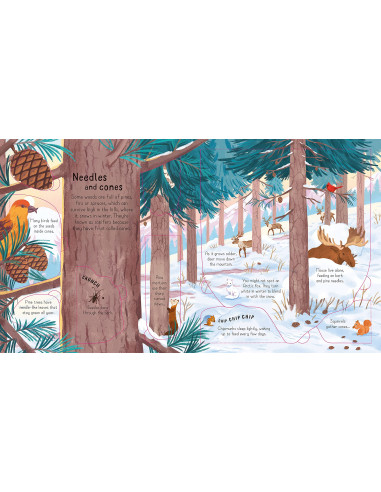 Look Inside the Woods