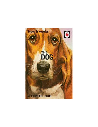How it Works: The Dog