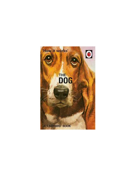 How it Works: The Dog