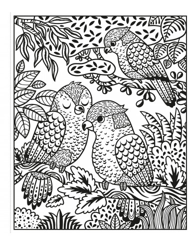 Zoo Magic Painting Book