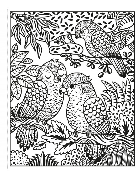 Zoo Magic Painting Book