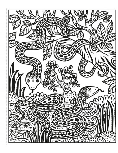 Zoo Magic Painting Book