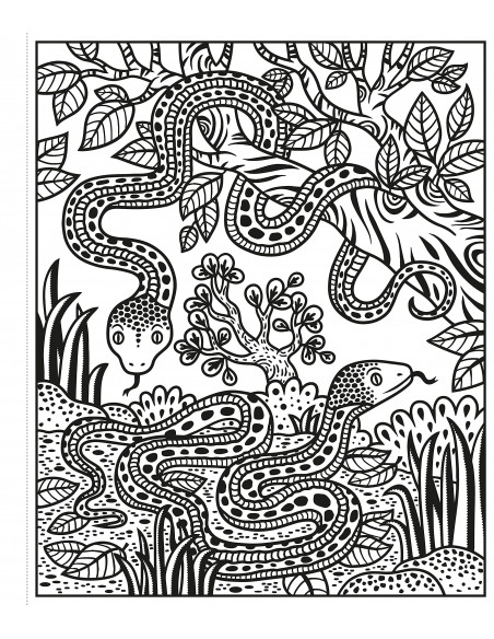 Zoo Magic Painting Book